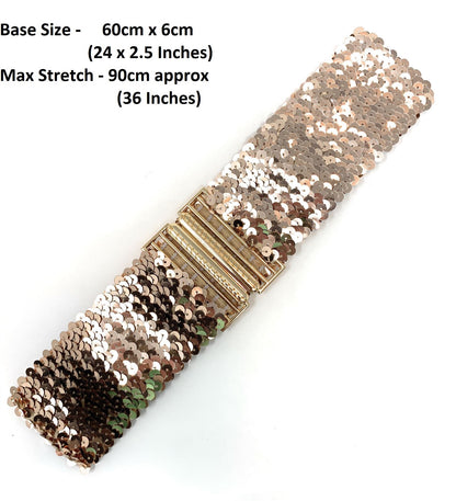 Gold Buckle Elastic Sequin Stretch Belt Coloured Waistband Corset New